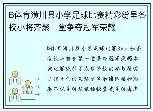 B体育潢川县小学足球比赛精彩纷呈各校小将齐聚一堂争夺冠军荣耀
